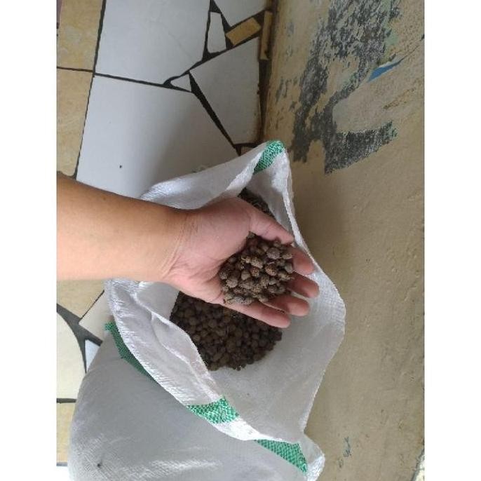 

Terlaris Pupuk Kandang Organik Kotoran Kelinci Kering Karung Kecil