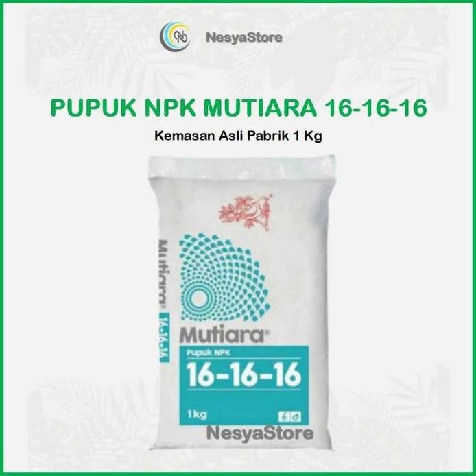 

Terlaris Pupuk Mutiara Npk 16 16 16