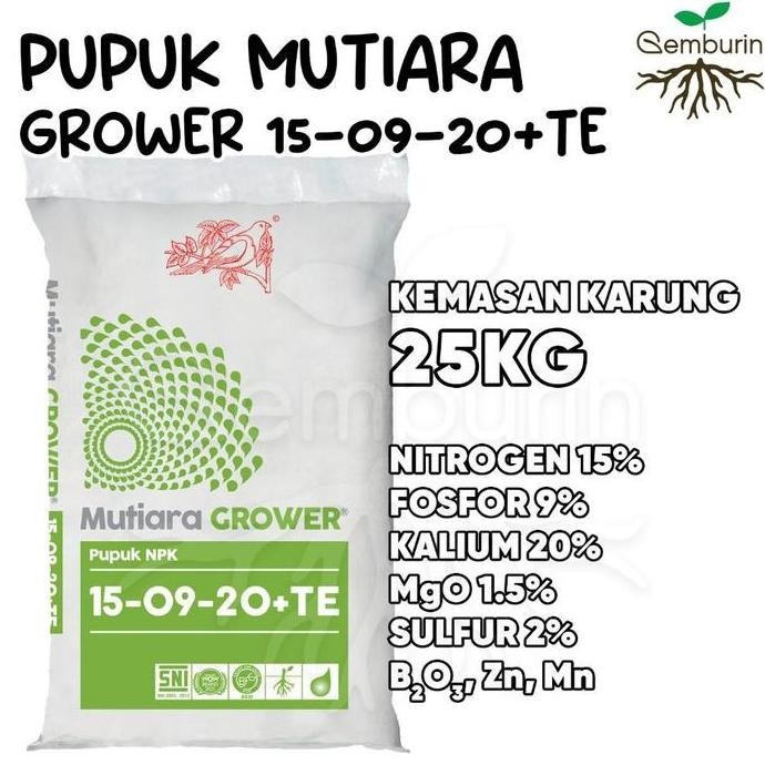

Terlaris Pupuk Npk Mutiara Grower 15-09-20+Te Hijau Karung 25Kg Kemasan Asli Pabrik Original Murah Pupuk Padat Kimia Penyubur Tanaman Buah Generatif
