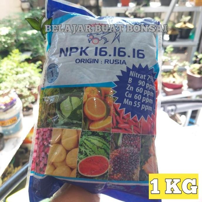 

Terlaris Pupuk Npk Rusia Origin Pak Tani 16 16 16 Pak Tani Kemasan Pabrik 1 Kg