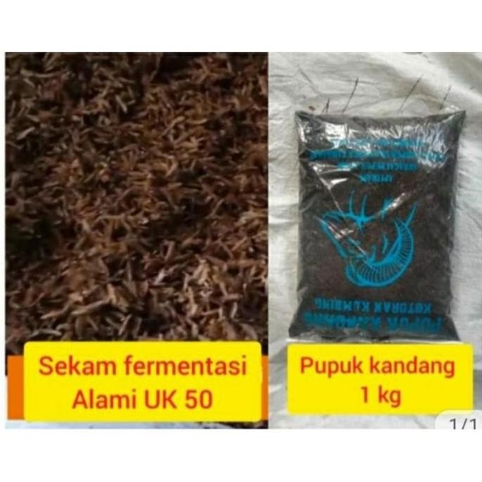 

Terlaris Paket Sekam Fermentasi Uk 50 +Pupuk Kandang 1 Bungkus Untuk Media