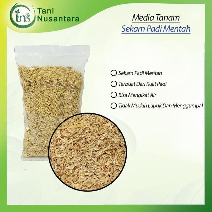 

Terlaris Sekam Padi Mentah 1Kg - Media Tanam Ideal Untuk Pertumbuhan Tumbuhan Tanah Tanaman