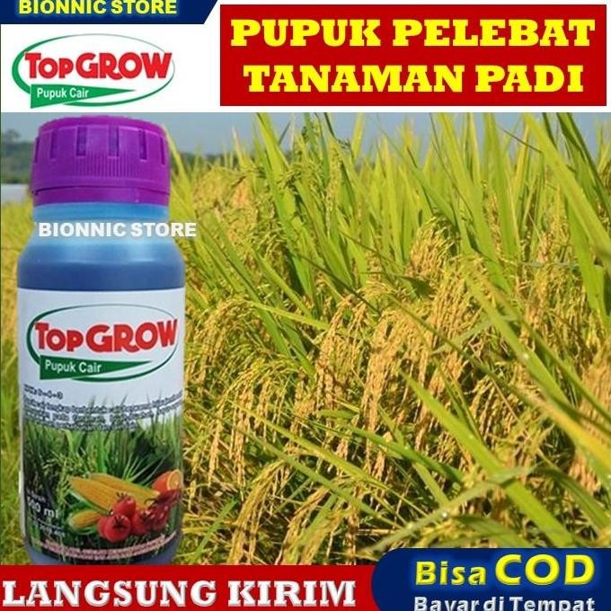 

Terlaris Top Grow 500Ml Pupuk Cair Pelebat Tanaman Padi Panen Berlimpah Terbaik