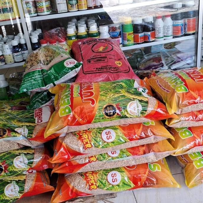 

Terlaris Benih Padi Unggul Benih Padi Padjadjaran