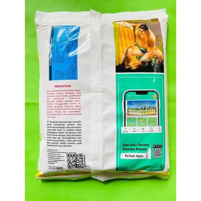 

Terlaris Benih Jagung Hibrida Nk7328 Sumo Dari Syngenta - Hasil Tinggi, Mudah Dipanen