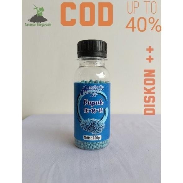 

Terlaris Pupuk Bunga Dan Mawar Npk 16-16-16 100Gram