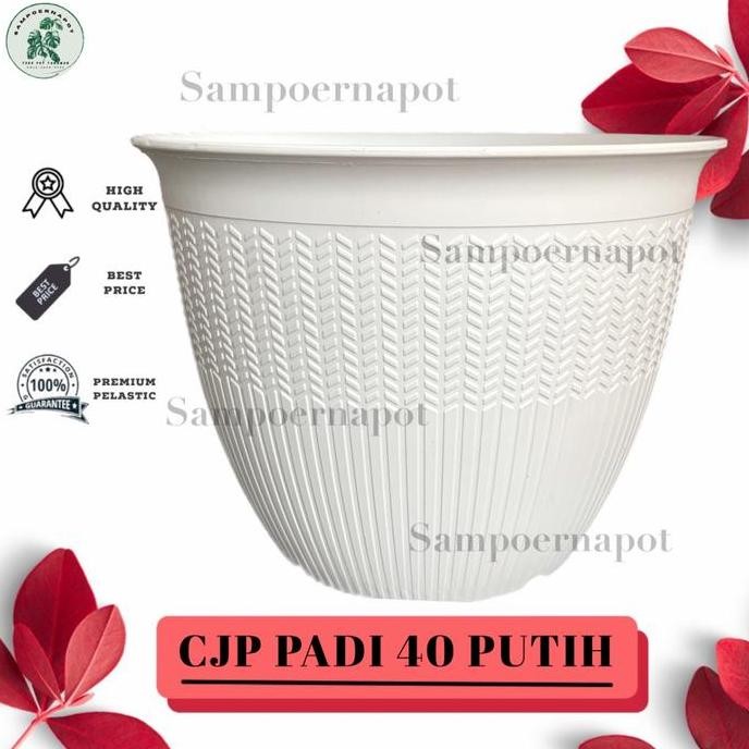 

Terlaris Pot Bunga Tanaman Cjp Padi 40Cm Putih - Cjp Padi 40 Putih 9940