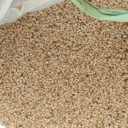 

Terlaris Wijen Lokal