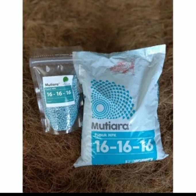 

Terlaris Pupuk Npk 16 16 16 Ukuran 150Grm Untuk Pertumbuhan Dan Pembuahan Valid