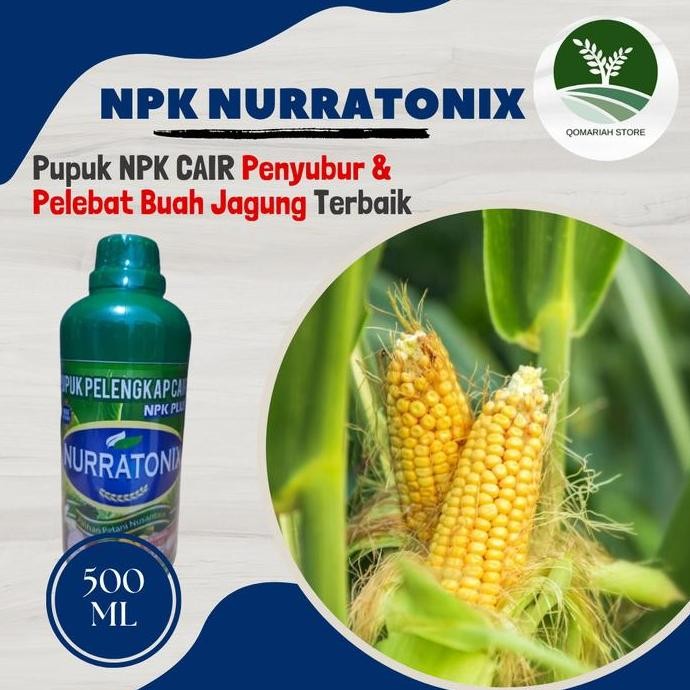 

Terlaris Npk Nurratonix 500Ml Pupuk Npk Cair Pupuk Jagung Agar Berbuah Besar & Paling Bagus Terbaik