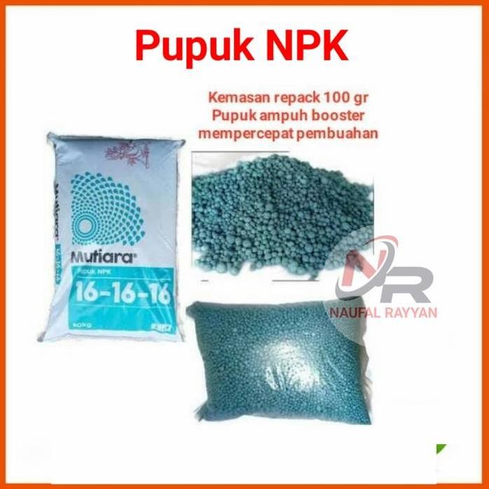 Terlaris Pupuk Npk Mutiara Untuk Mempercepat Pembuahan Pupuk Booster Buah