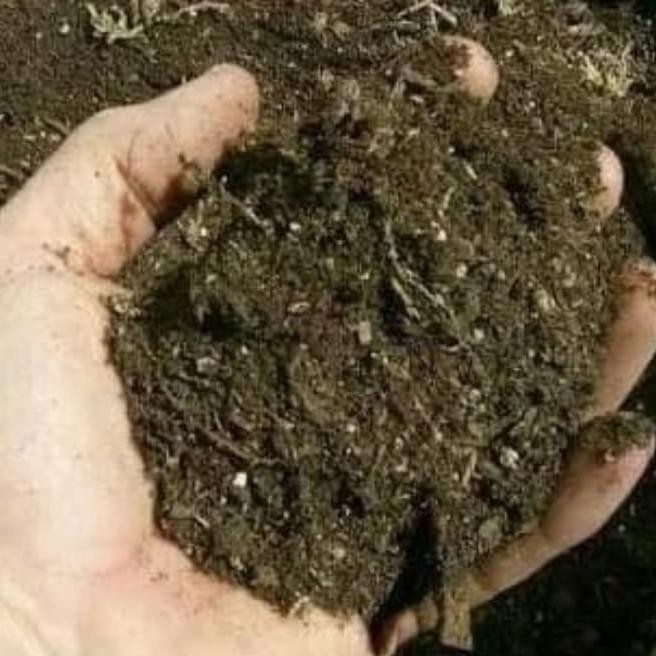 

Terlaris Mur.4H Pupuk Kandang Kambing Halus