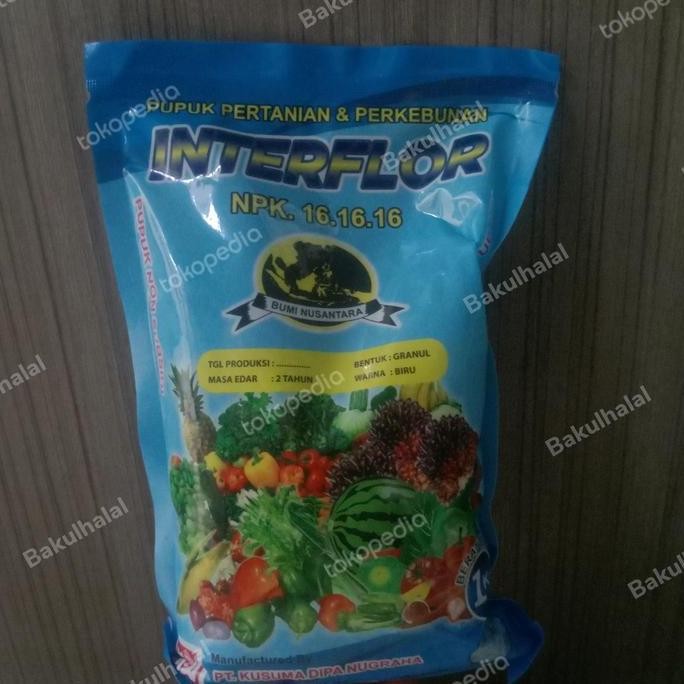 

Terlaris Npk 16 16 16 Interflor Ukuran 1 Kg