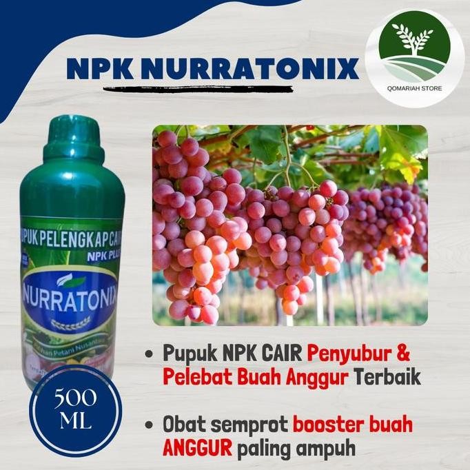 

Terlaris Pupuk Npk Nurratonix 500Ml Npk Cair Obat Booster Anggur Paling Bagus
