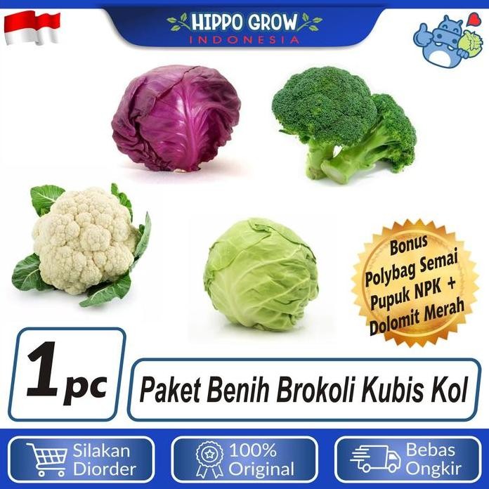 

Terlaris Paket Sayur Brokoli Kubis Kol Bibit Tanaman Bonus Polybag Dan Npk