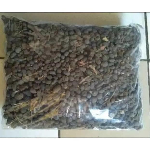 

Terlaris Pupuk Kandang (Kotoran Kambing) Dan Kaliandra 1Kg