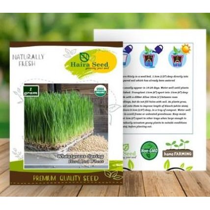 

Terlaris Benih - Bibit Rumput Gandum/Wheatgrass Merah Organik (Haira Seed)