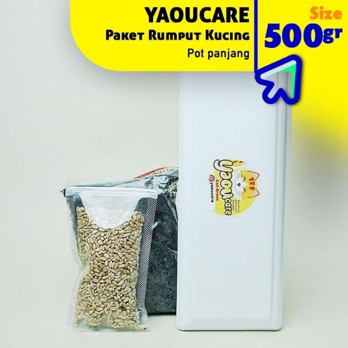 

Terlaris Termurah Paket Lengkap Starter Kit Benih Wheatgrass Bibit Rumput Gandum Kucing Siap Kirim