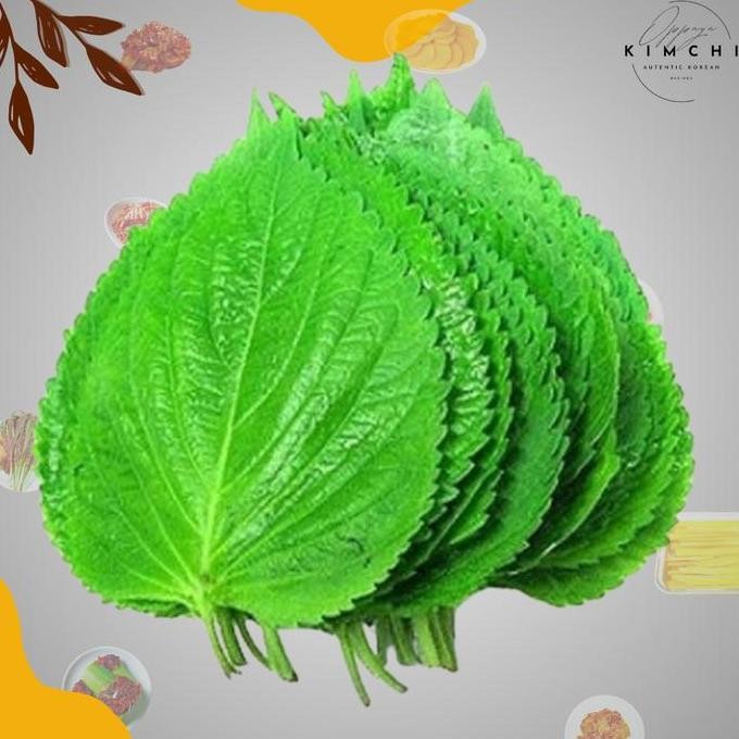 

Terlaris Daun Wijen / Perilla Leaf / Kkaennip Bungkusan Bbq Korea 100Gr