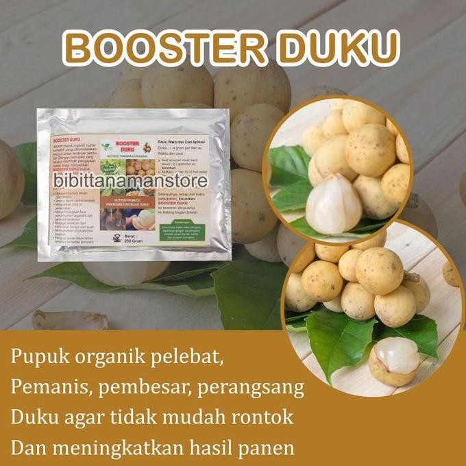 

Pupuk Organik Pelebat Buah dan Booster Duku Cepat Berbuah Lebat