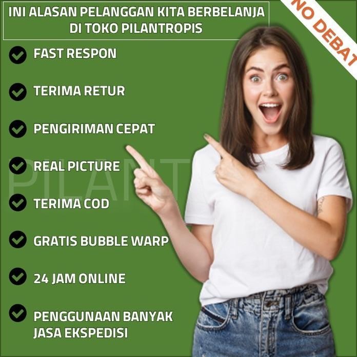 

Terlaris Terlaris Benih Wheatgrass 1Kg Bibit Rumput Gandum Biji Wheat Grass Microgreen Tbk