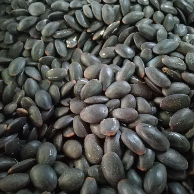 

BIJI KEDAWUNG 1KG / BIJI KEDAUNG KERING KUALITAS BAGUS TERMURAH