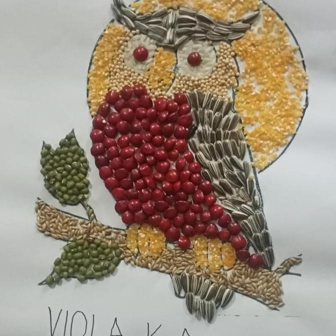 Promo Kolase Biji Burung Hantu Bulan COD