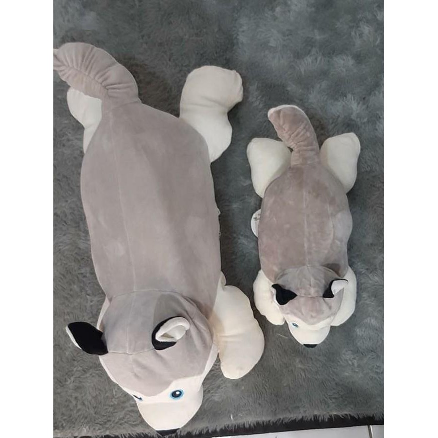 Boneka Dog Anjing Kecil