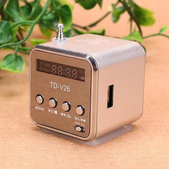 Portable Digital FM Radio Speaker Mini LCD Display Stereo Support TF Memory Card MP3 Music Player US