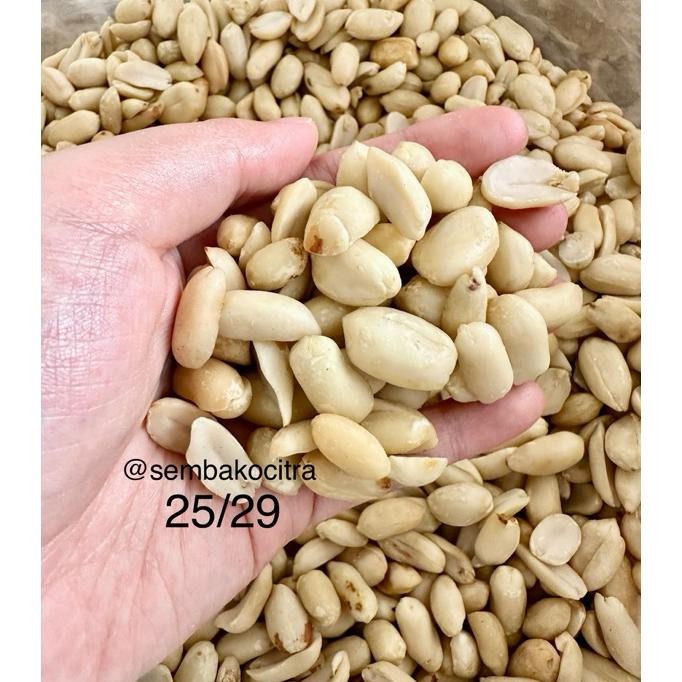 

Acang Upa Mentah Bear 1G 2529