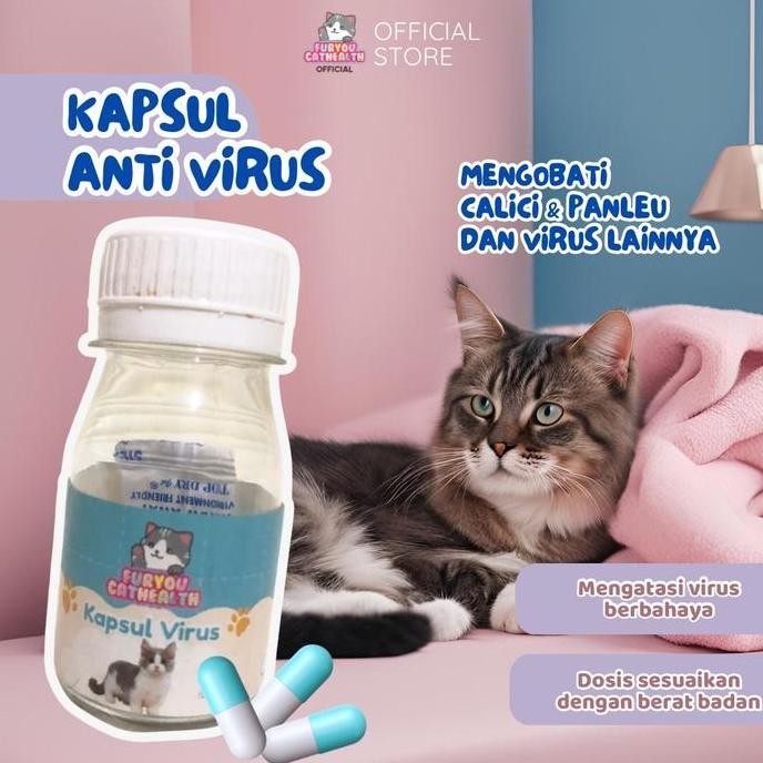 obat paket virus panleu calici distamper kucing
