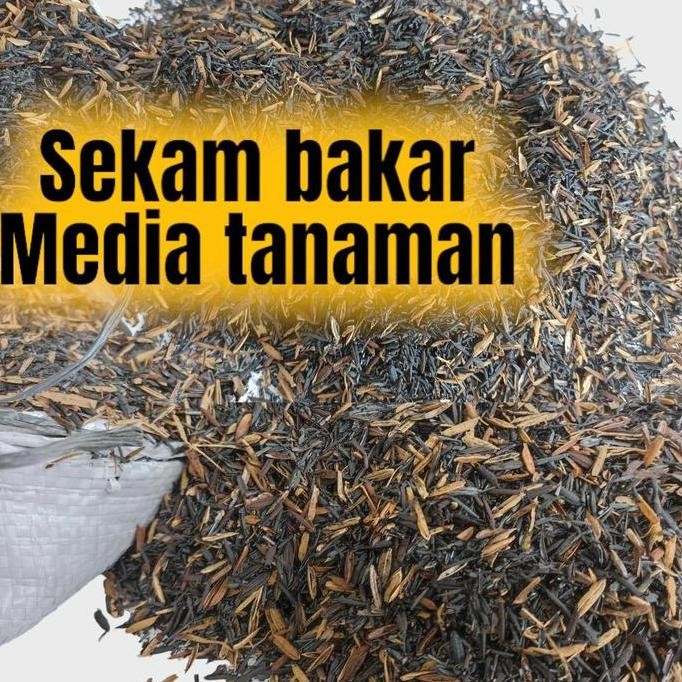 

Terlaris Media Tanam Sekam Bakar 1 Plastik(+- 2Kg) Karung Siap Pakai Kering Murah Non Basah Pupuk Kandang Media Mentah Kokpit Cocopeat