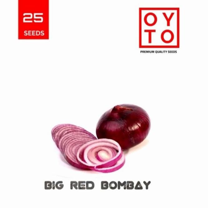 

Terlaris Benih Bawang Bombay Merah Bibit Sayuran Benih Tanaman Hidroponik