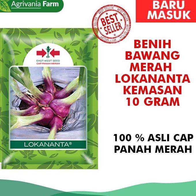 

Terlaris Benih Biji Bibit Bawang Merah Unggul Lokananta Cap Panah Merah 10 Gram