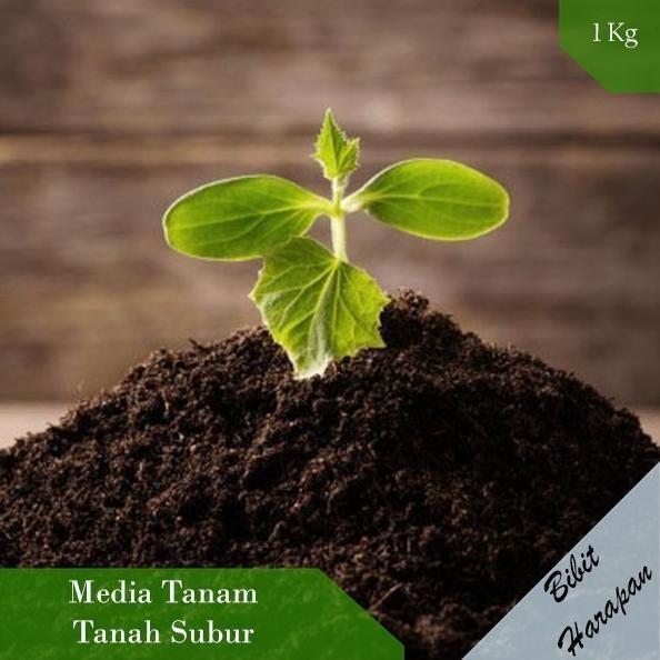 

Terlaris Wlcme! Media Tanam Tanah Subur Pupuk Kandang Pupuk Kompos Hidroponik