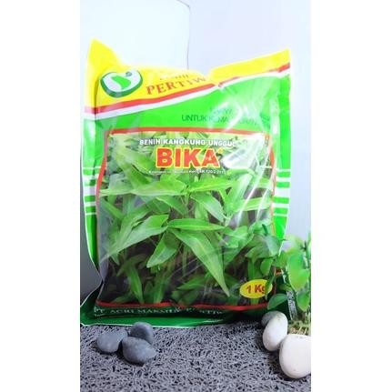 Benih Kangkung BIKA 1Kg Benih Kangkung Unggul