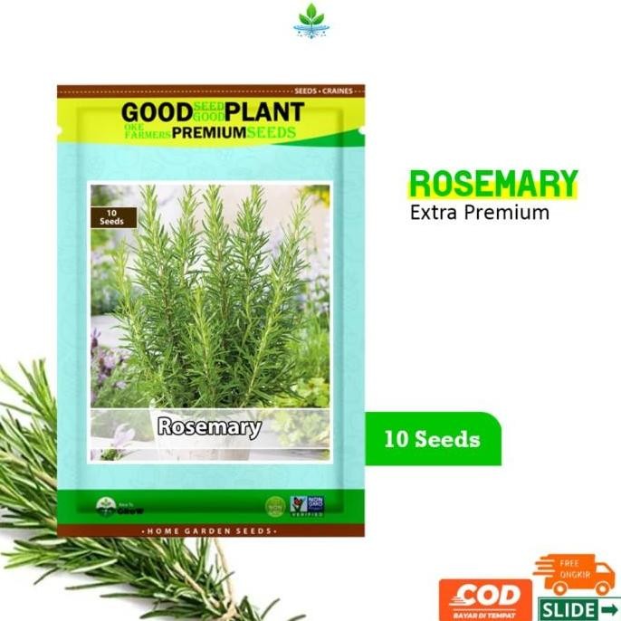

Terlaris Terlengkap Extra Premium - 10 Biji Benih Bibit Herb Rosemary Wangi F1