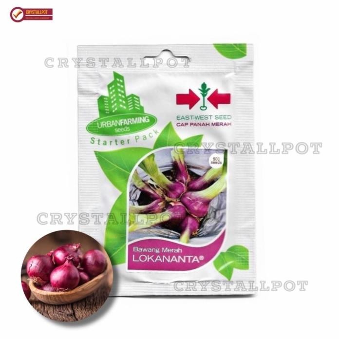 

Terlaris Griyana-Benih Bibit Bawang Merah Lokananta Cap Panah Merah - Lokananta