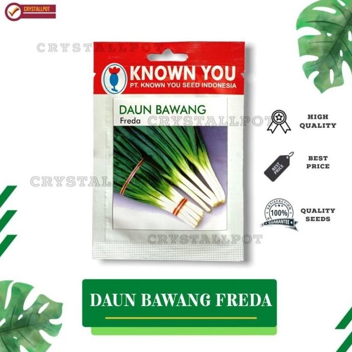 

Terlaris Benih Bibit Daun Bawang Freda Known You Seed - Kys Freda Kemasan Merah