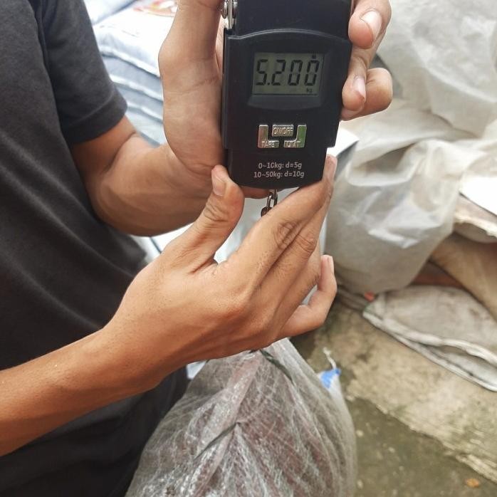 

Terlaris Pupuk Kohe Kambing Butiran Halus Siap Pakai Fermentasi Kandang Plus