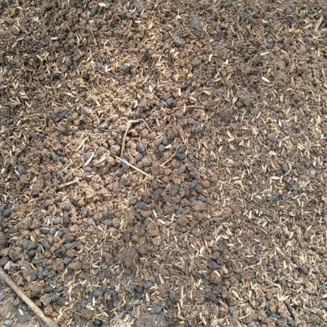 

Terlaris Media Tanam Sekam + Tanah + Pupuk Kandang , Per 1Kg Bibit Tanaman Super Unggul Asli Original