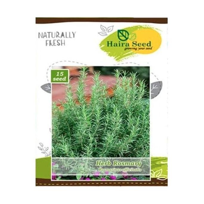 

Terlaris Bibit Biji Rosemary Tanaman Hias Bunga Herba Bumbu Dapur Masak Istimewa