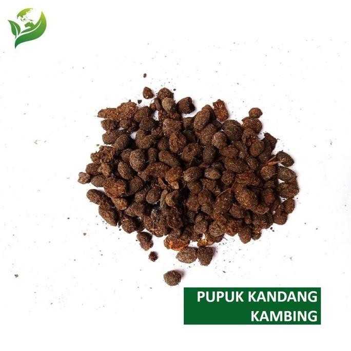

Terlaris Pupuk Kandang Kambing Murni 100% Kemasan 1 Kg Kualitas Bagus Dan Tidak