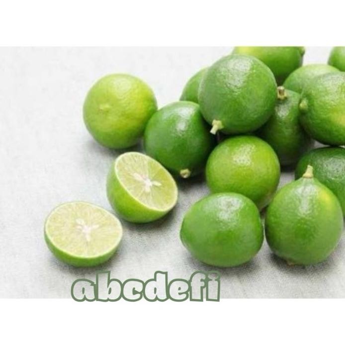 

Terlaris Bibit Jeruk Nipis Sudah Berbunga Dan Berbuah Rfltur 5111Kw