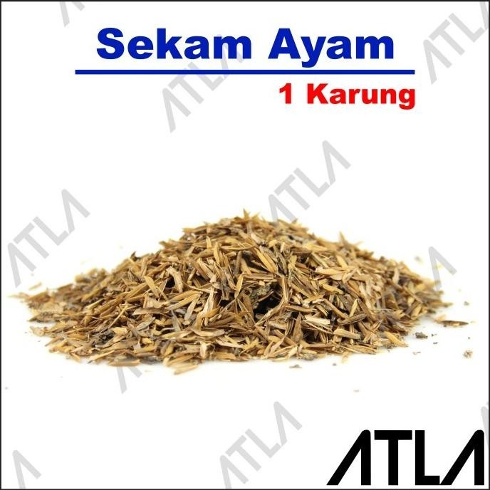 

Terlaris Ready Stok! Sekam Campur Kandang Ayam Pupuk Kotoran Kompos Media Tanam Tanaman