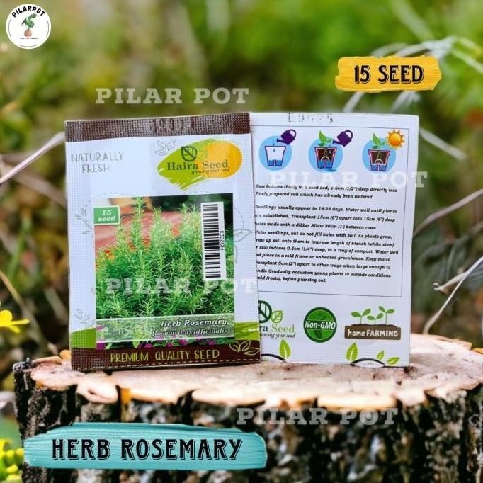 

Terlaris Benih Bibit Herba Rosemary Rosmarinus Haira Seed - Herb Rosemary
