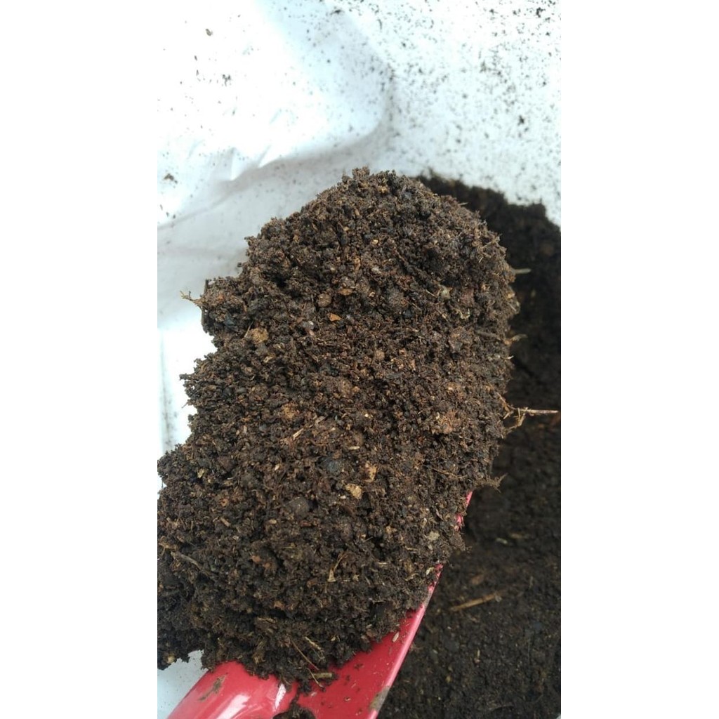 

Terlaris [Goodseller] Pupuk Kandang Kambing Organik Halus Siap Pakai