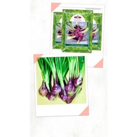 

Terlaris 25 Benih/Bibit Bawang Lokananta Repacking (Panah Merah)