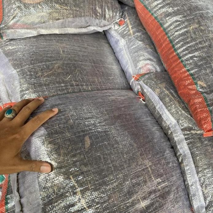 

Terlaris Pupuk Kandang Kohe Kambing Murni Butiran Kering Karungan