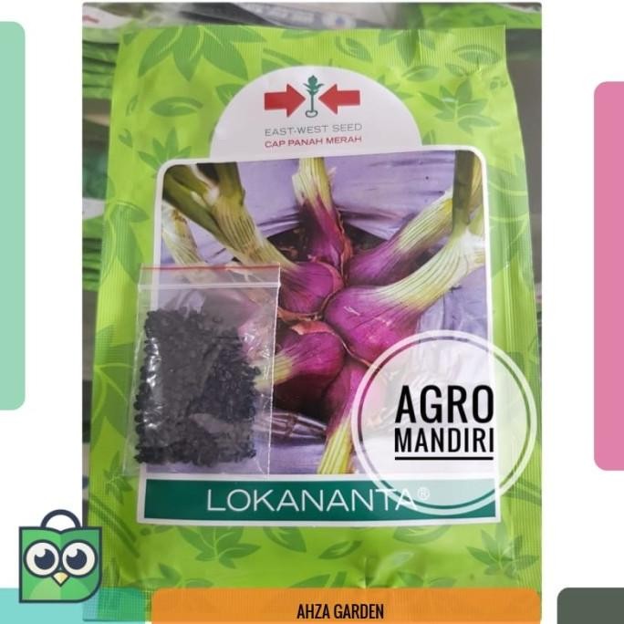 

Terlaris +- 600 Butir Bibit Benih Bawang Merah Lokananta Cap Panah Merah